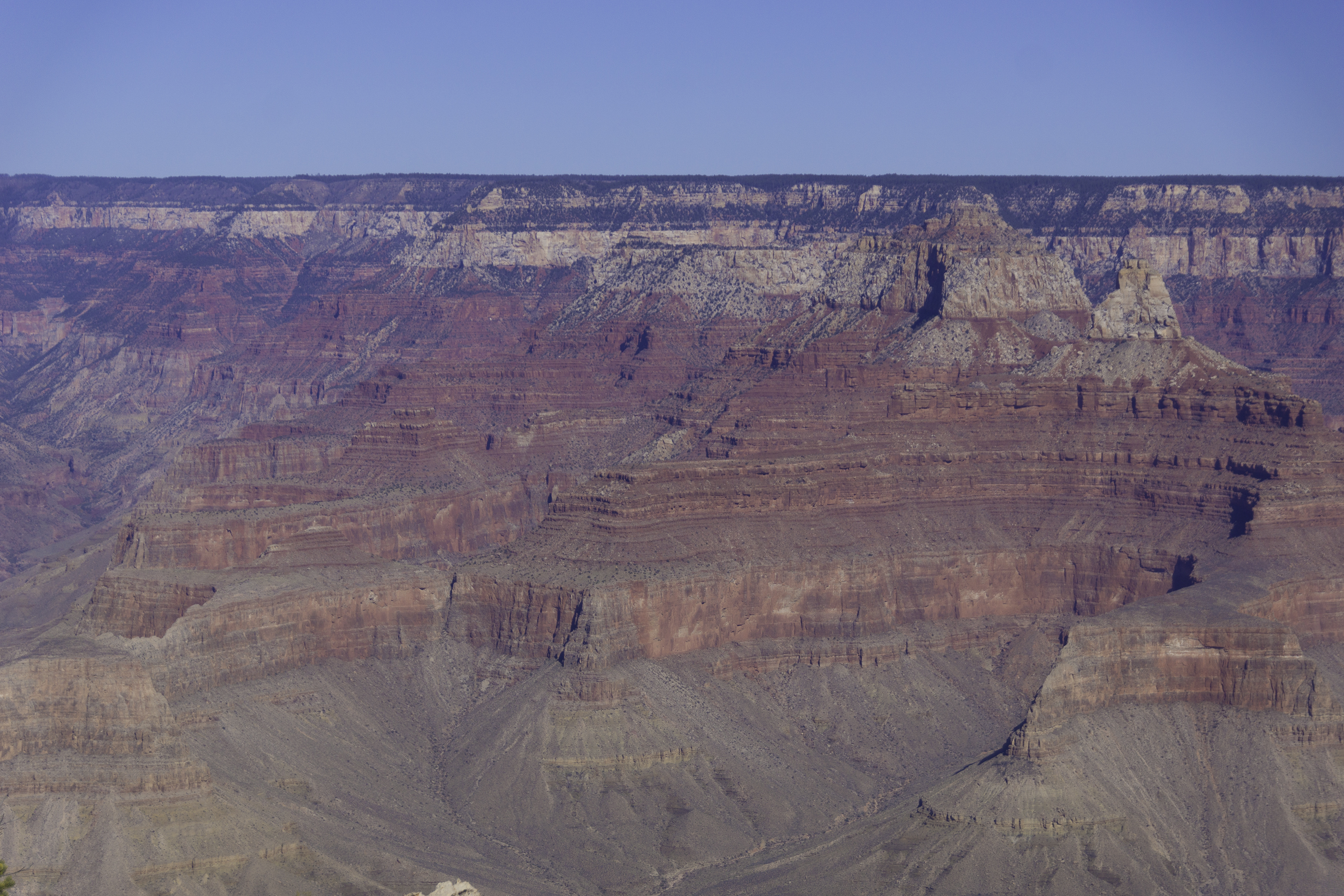 Grand Canyon 2015-88